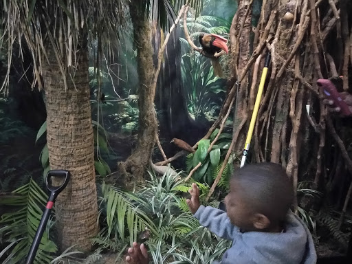 Museum «Delaware Museum of Natural History», reviews and photos, 4840 Kennett Pike, Wilmington, DE 19807, USA