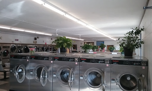 Burton's Laundry