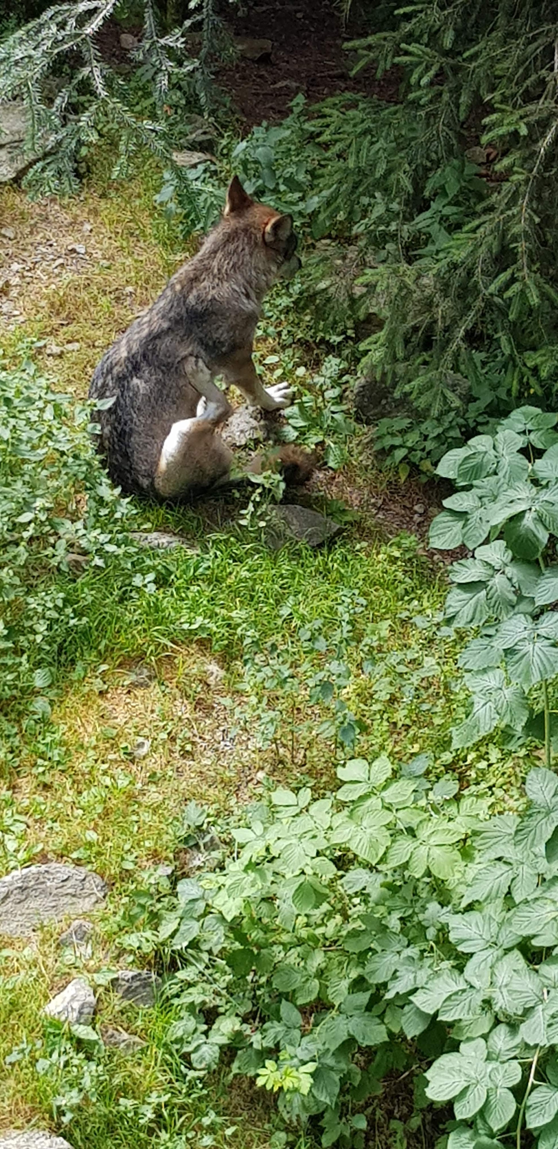 Photo n° 1 de l'avis de Denny.a fait le 23/08/2019 à 07:52