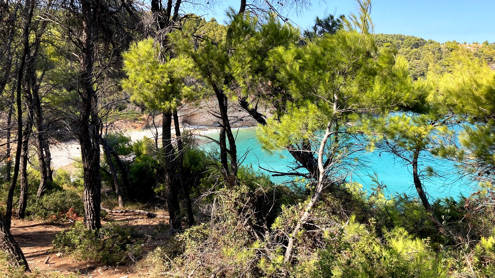 Fotografija Spartines beach z ravna obala