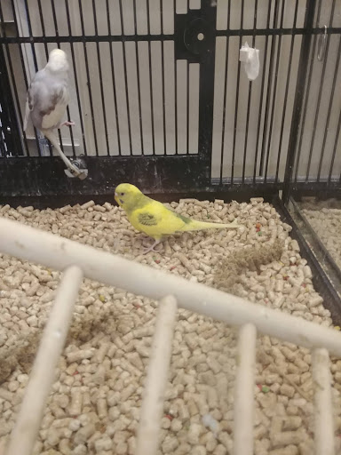 Pet Supply Store «PetSmart», reviews and photos, 2026 Lincoln Way E, Massillon, OH 44646, USA