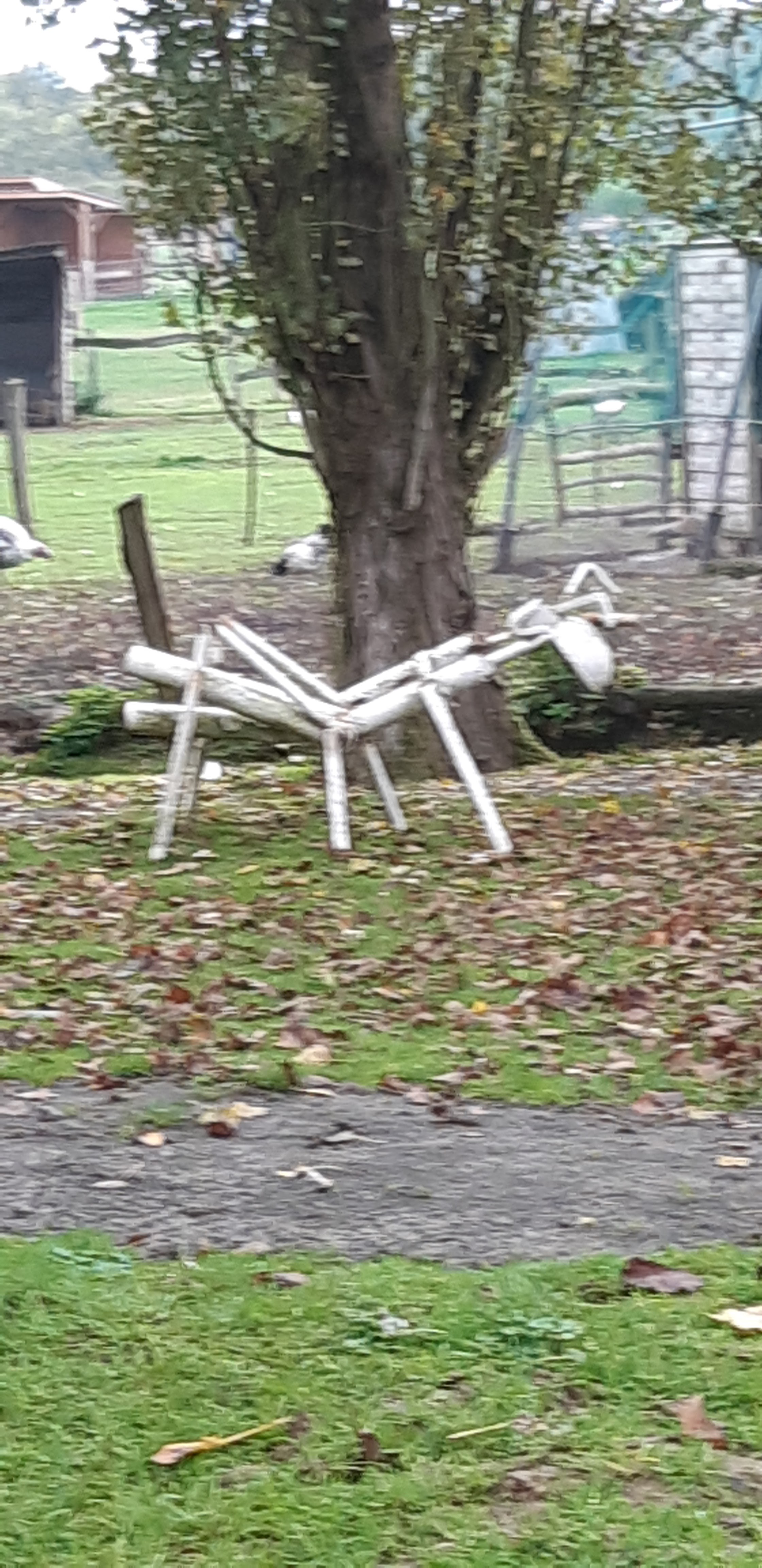 Photo n° 37 de l'avis de Yannick.a fait le 27/10/2019 à 14:17