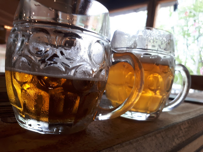 Comentarii opinii despre Demeter Borbár Széchenyi