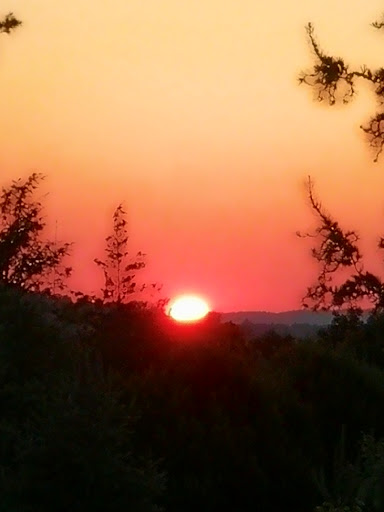 Park «Fisher Hill Reservoir Park», reviews and photos, 78-144 Fisher Ave, Brookline, MA 02445, USA