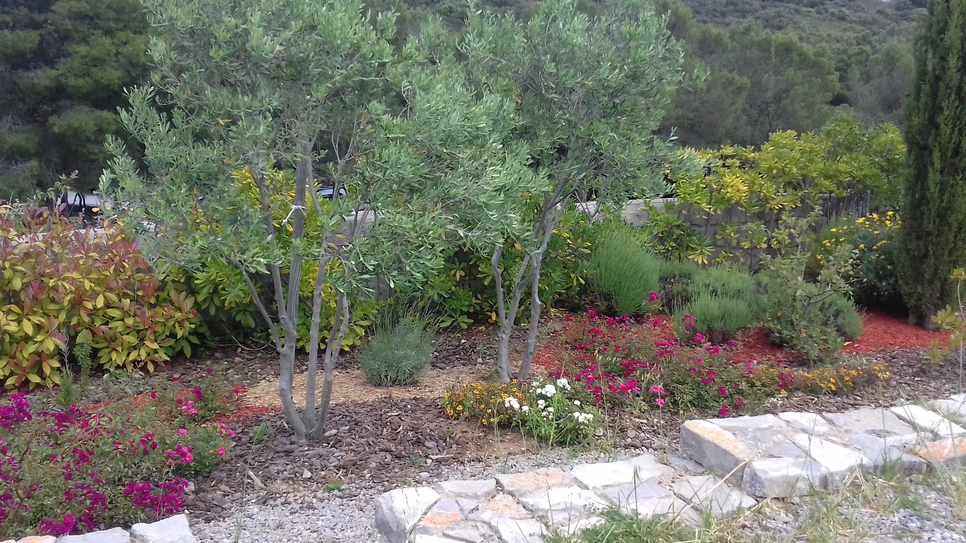 Photo n° 6 de l'avis de Christophe.e fait le 29/05/2019 à 20:48