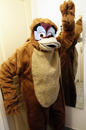 Photo n°16 de Ricolleau Déguisements à Saint-Jean-de-Monts ()