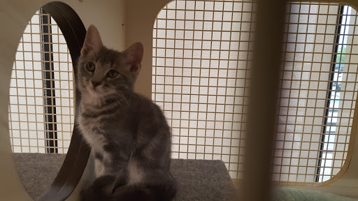 Pet Supply Store «Petco Animal Supplies», reviews and photos, 5975 20th St, Vero Beach, FL 32966, USA