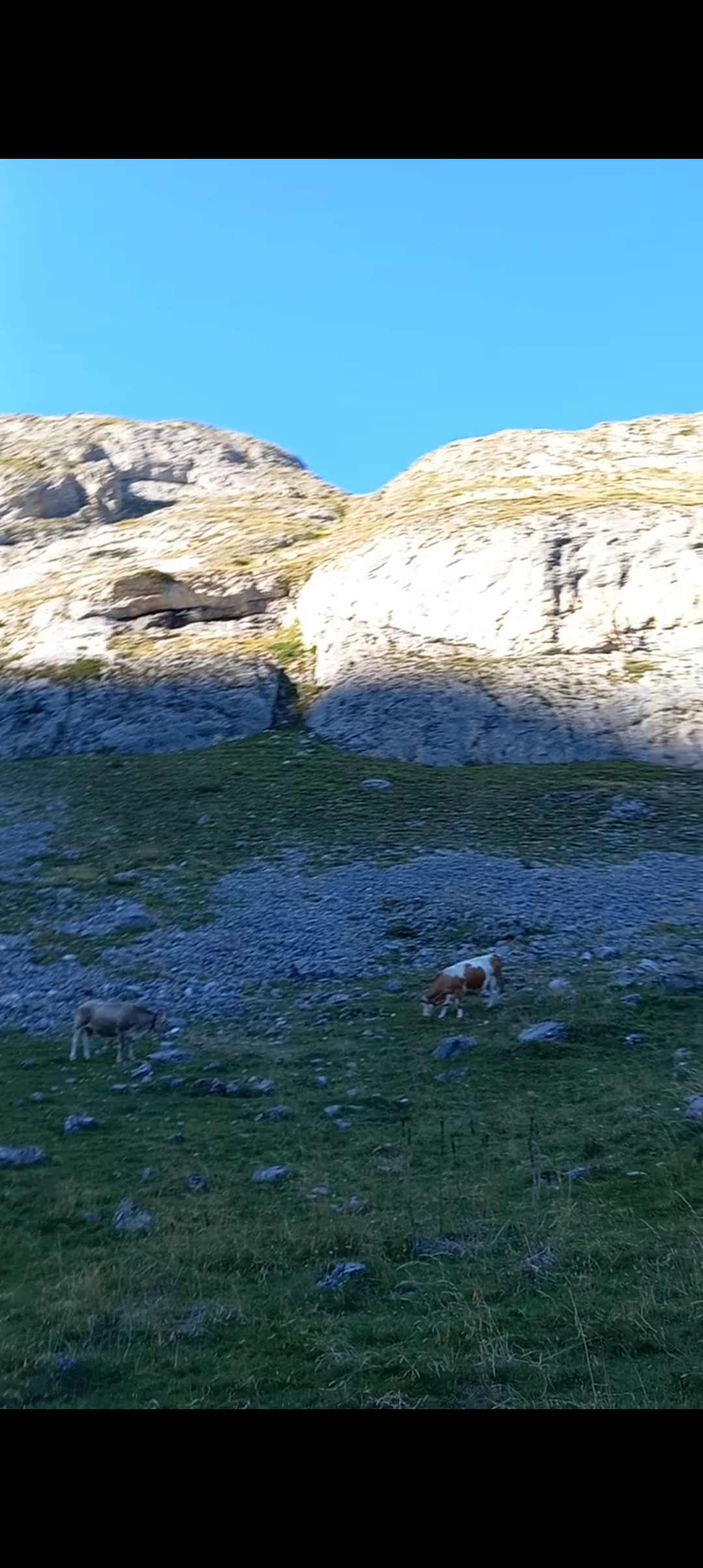 Photo n° 14 de l'avis de Ada. fait le 23/10/2022 à 17:20