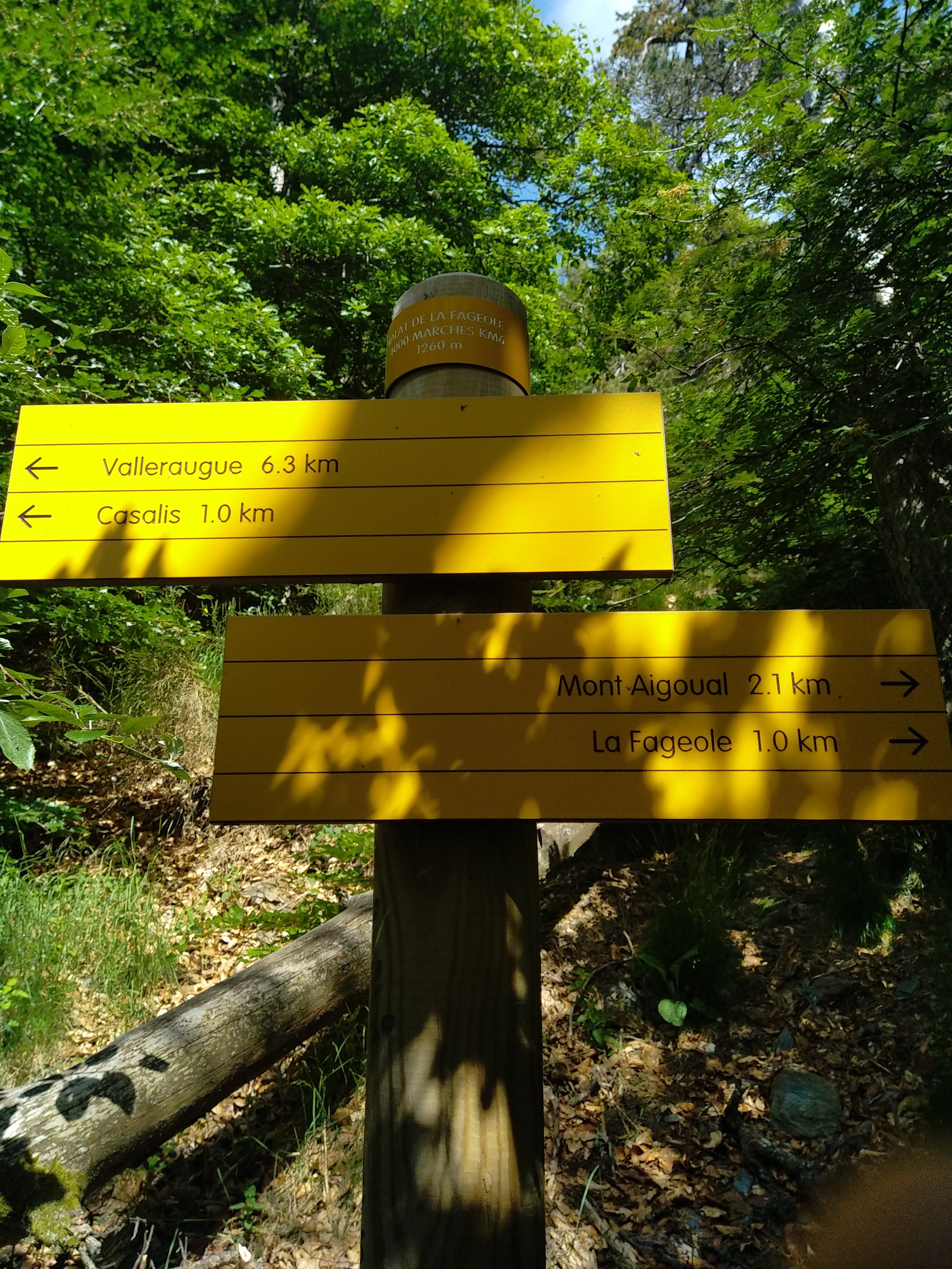 Photo n° 33 de l'avis de Julien.a fait le 10/01/2023 à 18:45