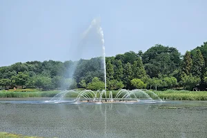 Ansan Lake Park image