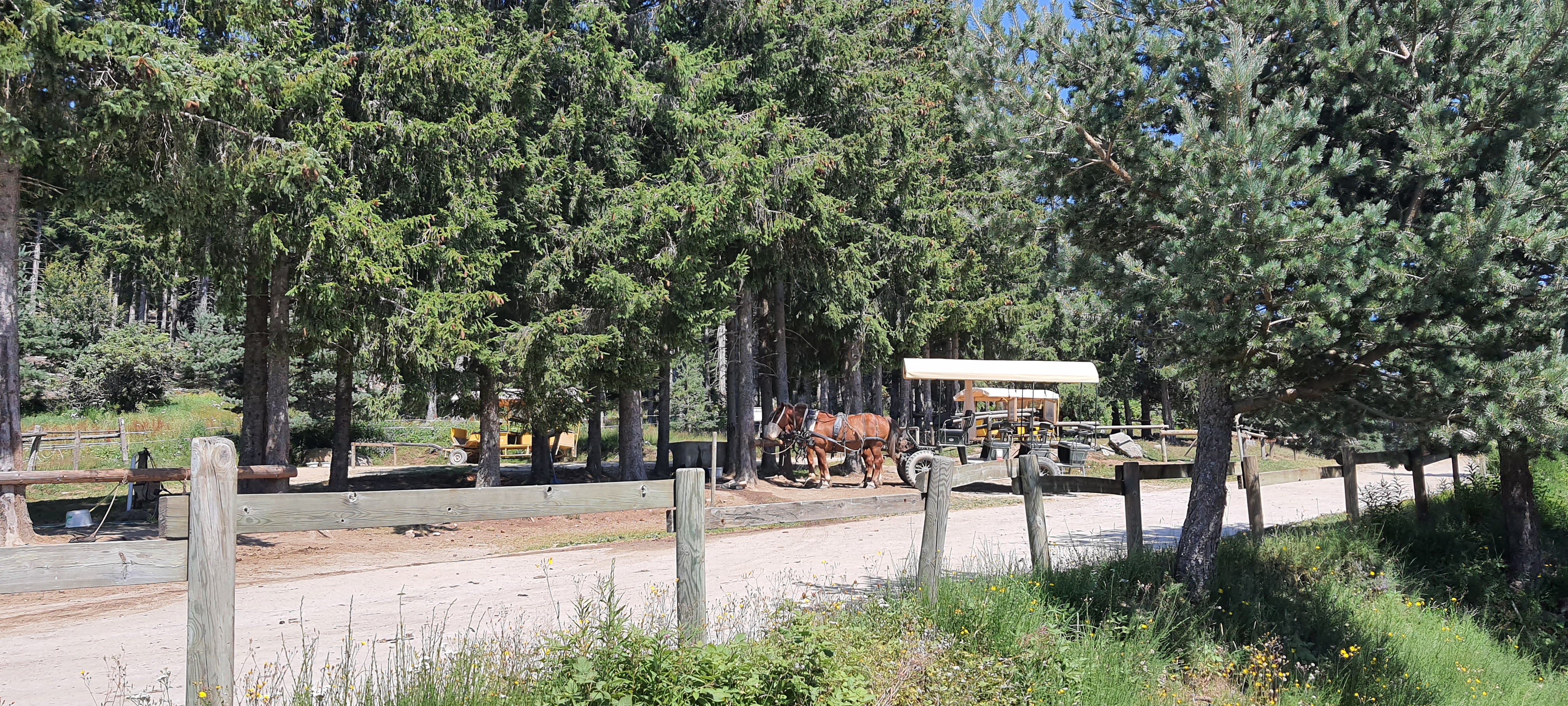 Photo n° 18 de l'avis de Benjamin.o fait le 22/08/2021 à 17:09