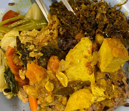 Vegan Khunnay photo