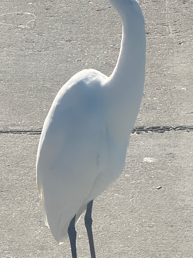 Marine Supply Store «West Marine», reviews and photos, 1721 Gulf to Bay Blvd, Clearwater, FL 33755, USA