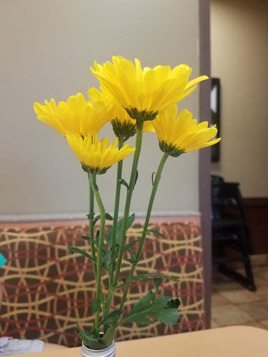 Fast Food Restaurant «Chick-fil-A», reviews and photos, 2801 E Market St, York, PA 17402, USA