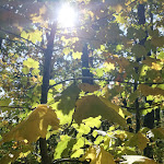 Photo n°10 de l'avis de carla.a fait le 27/10/2019 à 15:17 sur le  Ristorante da Baffone à Gubbio