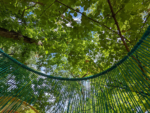 Museum «Umlauf Sculpture Garden & Museum», reviews and photos, 605 Robert E Lee Rd, Austin, TX 78704, USA