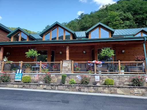 Resort «Smoke Hole Caverns», reviews and photos, 8290 N Fork Hwy, Cabins, WV 26855, USA