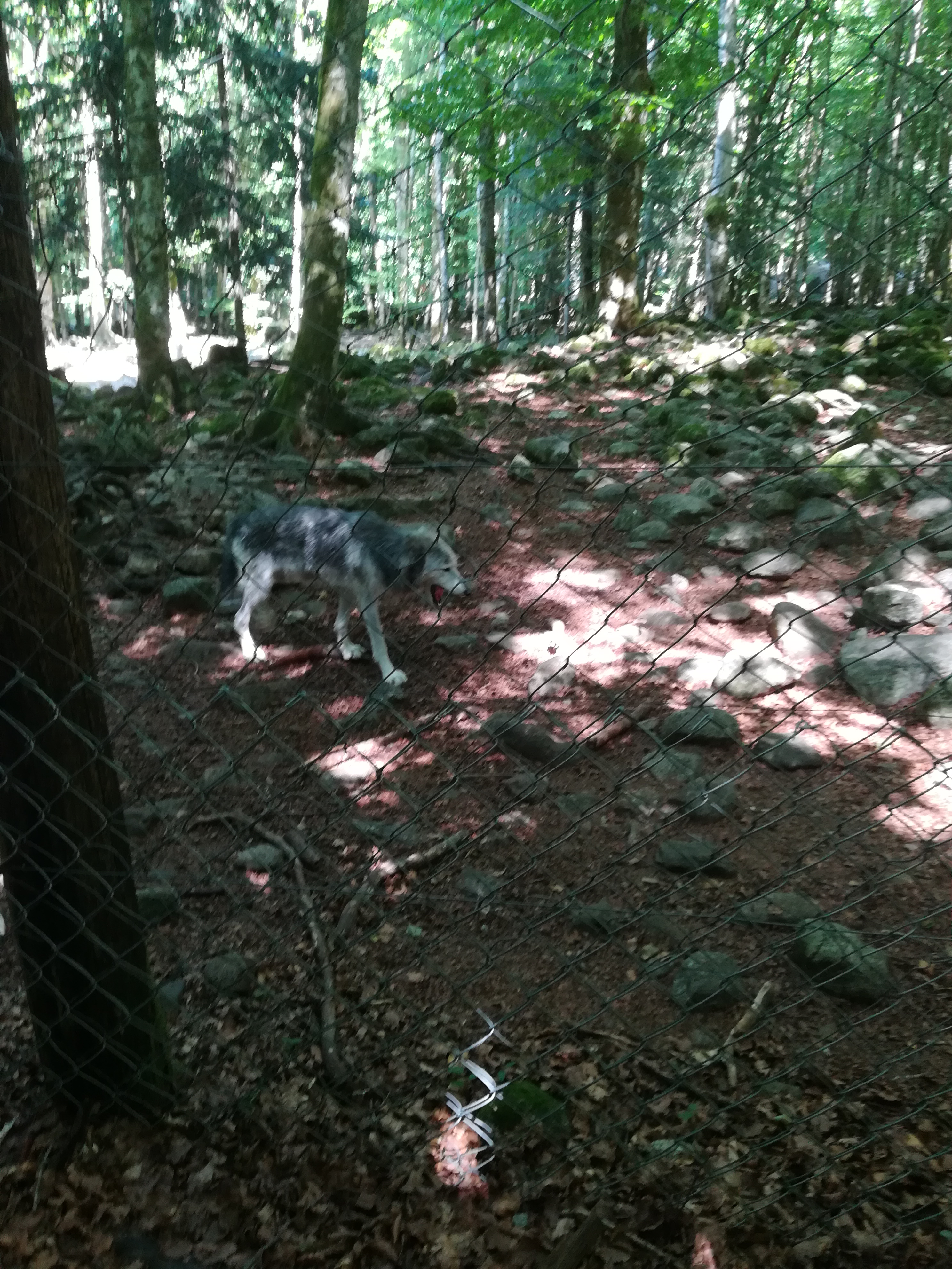 Photo n° 25 de l'avis de Audrey.� fait le 28/07/2017 à 17:11