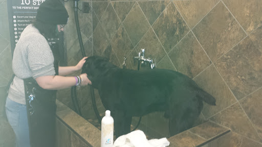 Pet Store «Pet Valu», reviews and photos, 490 Shrewsbury Plaza, Shrewsbury, NJ 07702, USA