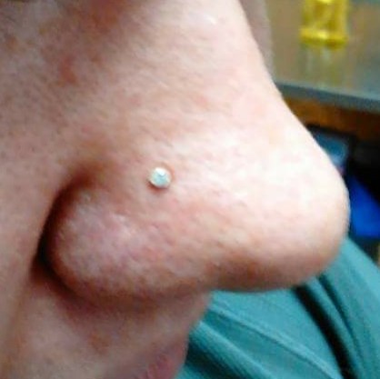 Explore december birth flower tattoo ideas, creative tattoo ideas in Hudson Falls, available at ALTERED ADDICTION TATTOOS