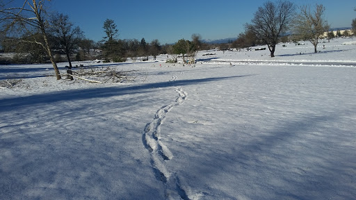 Funeral Home «Lane Memorial Gardens & Funeral Home», reviews and photos, 5300 W 11th Ave, Eugene, OR 97402, USA