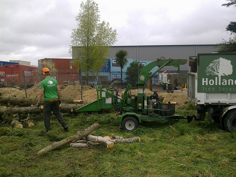 Hollands Tree Services - Landscaper