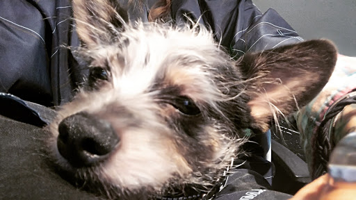 Beauty Salon «Salon Ish», reviews and photos, 107 W Stewart # B, Puyallup, WA 98371, USA