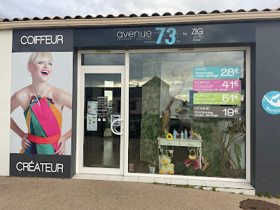 Avenue73 by Zig Zag - Coiffeur Froidfond à Froidfond