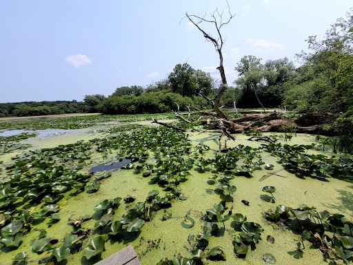 Park «Wehr Nature Center», reviews and photos, 9701 W College Ave, Franklin, WI 53132, USA