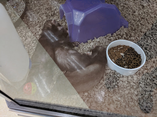 Pet Supply Store «Petco Animal Supplies», reviews and photos, 15660 SW Pacific Hwy, Tigard, OR 97224, USA