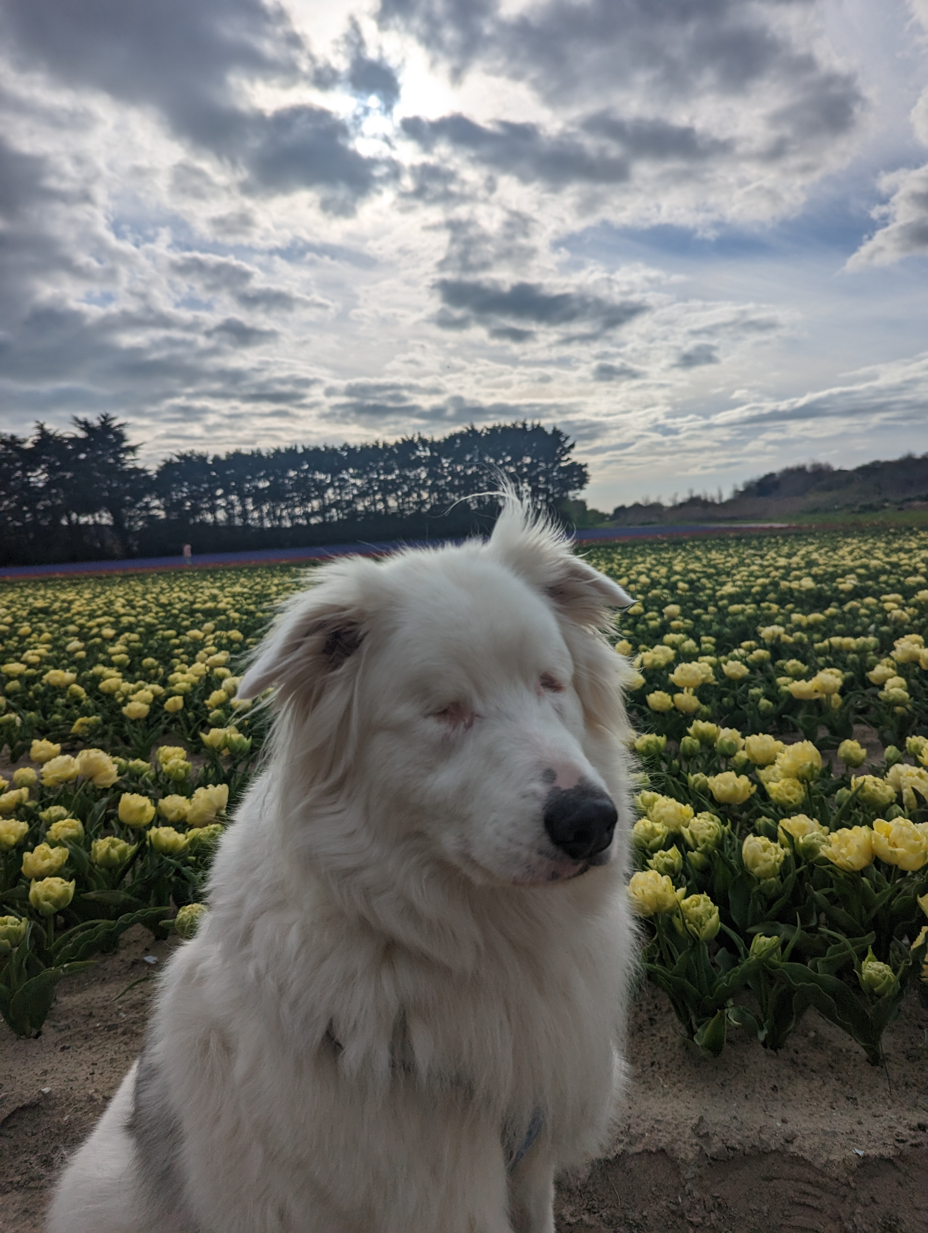 Photo n° 15 de l'avis de Jersey.h fait le 02/04/2023 à 21:00