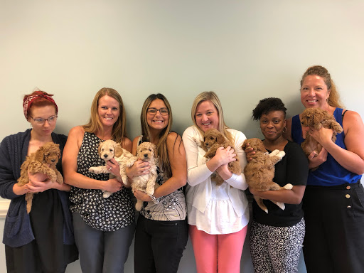 Insurance Agency «Wells Insurance (Harold W Wells & Son)», reviews and photos