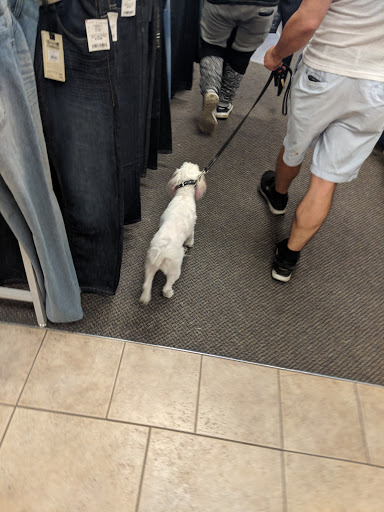 Clothing Store «Burlington Coat Factory», reviews and photos, 10202 E Washington St #700, Indianapolis, IN 46229, USA