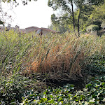 Photo n°6 de l'avis de Maurizio. fait le 07/10/2023 à 16:24 sur le  Bar Cascina Margherita à Brescia