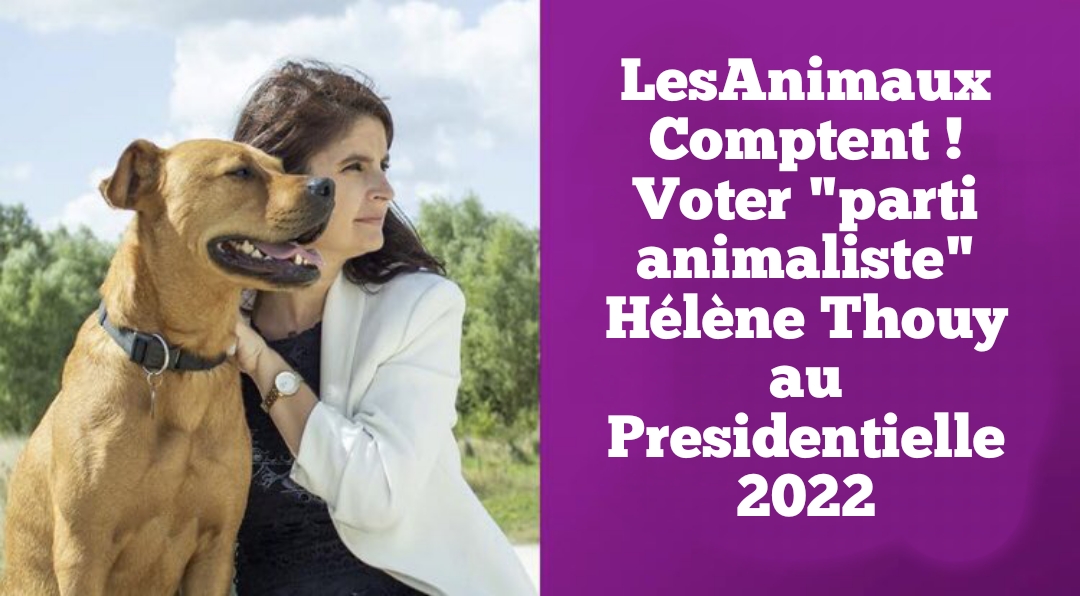 Photo n° 2 de l'avis de Pierre.o fait le 21/02/2022 à 07:36