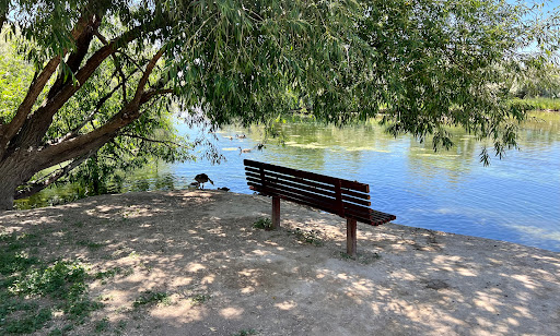 Nature Preserve «Wilson Springs Ponds», reviews and photos, 3209-3507 S Powerline Rd, Nampa, ID 83686, USA