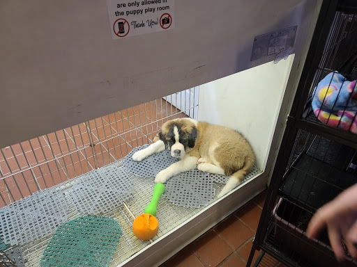 Pet Store «Pets Plus Inc», reviews and photos, 2610 Jefferson Davis Hwy, Stafford, VA 22554, USA