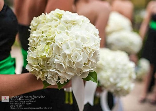 Florist «Joseph Genuardi Florist Inc», reviews and photos, 410 E Fornance St, Norristown, PA 19401, USA