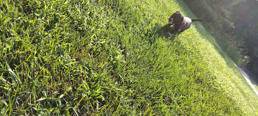 Pet Supply Store «Pet Supplies Plus», reviews and photos, 1519 Lititz Pike, Lancaster, PA 17601, USA