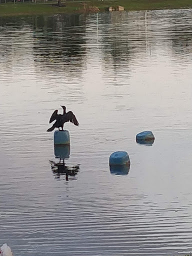 Park «Plantation Central Park», reviews and photos, 9151 NW 2nd St, Plantation, FL 33324, USA