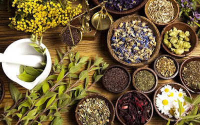Chloé VACLE - NATUROPATHE Tours- Spécialisée en phytothérapie à Tours