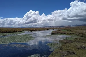 Junín National Reserve image