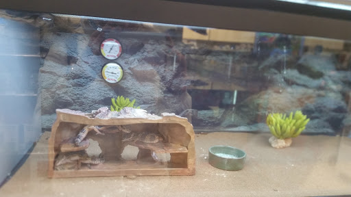 Pet Supply Store «Petco Animal Supplies», reviews and photos, 3525 W Victory Blvd, Burbank, CA 91505, USA