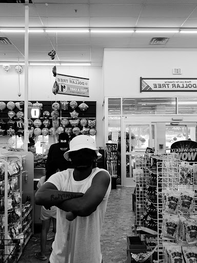 Dollar Store «Dollar Tree», reviews and photos, 423 US-46, Dover, NJ 07801, USA