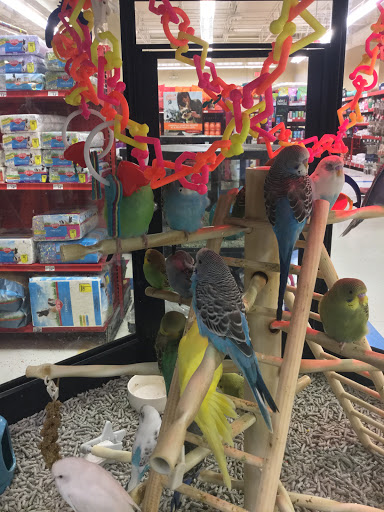 Pet Supply Store «Petco Animal Supplies», reviews and photos, 13053 Lee Jackson Memorial Hwy b, Fairfax, VA 22033, USA