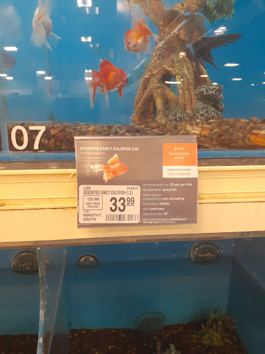 Pet Supply Store «PetSmart», reviews and photos, 916 Loganville Hwy, Bethlehem, GA 30620, USA