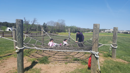 Dairy Farm «Cows-N-Corn», reviews and photos, 5225 Catlett Rd, Midland, VA 22728, USA