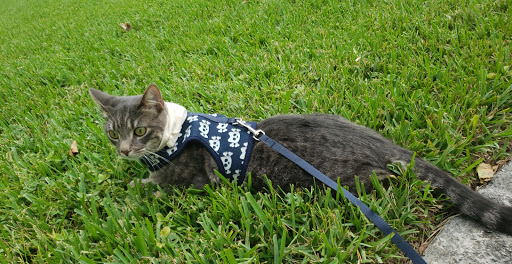 Pet Supply Store «Petco Animal Supplies», reviews and photos, 12014 SW 88th St, Miami, FL 33186, USA