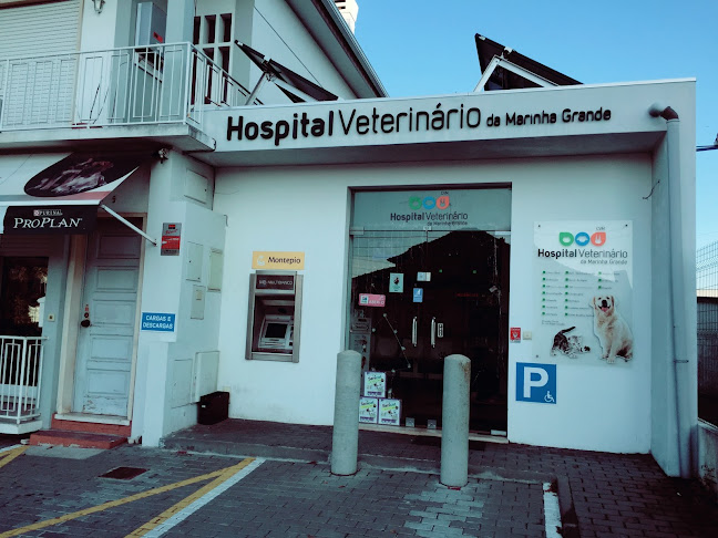 HVMG - Hospital Veterinário da Marinha Grande - Hospital