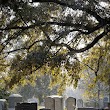 Home of Peace Cemetery